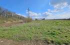 Teren intravilan Snagov Sat, langa Padurea Snagov | Pre? negociabil - 4