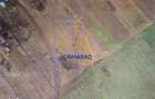 TEREN INTRAVILAN 3.870 MP BUFTEA | ZONA TAMASI | FRONT STRADAL 32 - 4
