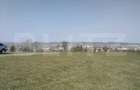 Teren intravilan, 15.904 mp, zona Dambu - 5