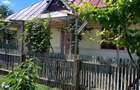 Casă cu Teren 2500 Mp în Icușești - 2