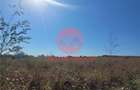 Teren Costinesti 1000 mp, Aproape de Plaja si de Nibiru, Ide - 3