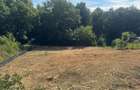 Bucium - Barnova , 1000 mp lipit de padure , acces privat - 3