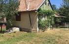 Casă cu Teren 6500 Mp în Dretea - 2