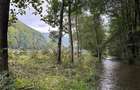 teren de vanzare ideal pentru pensiune, camping, etc. - 6