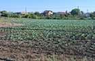 Vand gradina cu intrare din dou strazi - 4