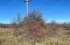 Teren de 5300 mp, în Merișani - 4