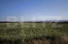 Teren 30.350 mp (600 mp intravilan) ideal investi?ie, C - 2