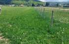 Teren de 2630 mp, în Vama Buzăului - 2