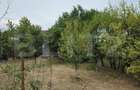 Teren extravilan 17524 mp, expunere sudica, Viforata - 2