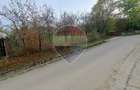 Teren intravilan 3500mp | Cotofenesti, Prahova - 4