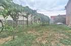 Casa de vanzare cu 2 camere si teren in zona Cantemir, Oradea - 1