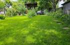 Teren 900 mp, central, str. Obedeanu- spatele Gradinii Botanice - 3