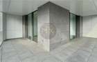 DUPLEX 5 camere 210 mp, curte+terase 250 mp | Lacul Floreasca