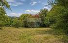 CASA CU GRADINA DE 1.498 MP | 3 FRONTURI STRADALE | SCHEII BRASOVULUI - 13