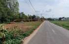 De vanzare 687/ 1374 mp teren cu utilitati pt. construire Remetea, Bihor in 2 parcele.. - 5