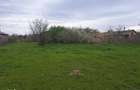 Teren intravilan 3615mp-Salcioara, jud Tulcea- deschidere la balta/lac - 3