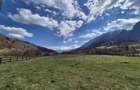 Oportunitate investitie resort/complex /pensiune ,Plaiul Foii Zarnesti - 3