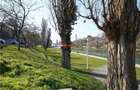 Apartament ultracentral | Renovat - 11