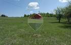 Teren de vanzare Preluca Noua, 1.5 ha, potential turistic - 6