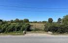 Teren intravilan Somcuta Mare,Str. Miresului, 56 ari, deschidere 30 m - 3