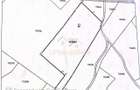 Teren 34.000 Mp | Serani Bihor - 3