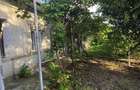 Casa cu poten?ial, 4 camere, langa padure-Jud Giurgiu-Mihai Bravu. - 6