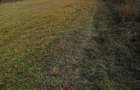 Teren intravilan 1000 m
