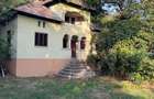 Vand casa si teren in Gheboieni, Dambovita