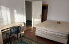 Apartament 1 camera in Grigorescu