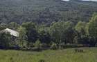 Teren intravilan 1200mp Tesila ~Valea Doftanei 0735.131.492