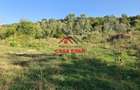 Teren intravilan in Cornu (Ph)--1490 mp--29e - 9