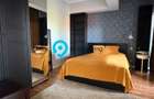Duplex Superb + Mansarda | OTOPENI - 11