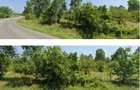 Teren cota parte 1/3 Cocorastii Mislii, ID: R2949920 - 5