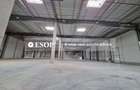 Constanta Business Park, hale Industriale, 7.000-30.000mp,  0%comision - 4