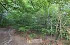 De vanzare teren extravilan 8,2037 ha padure ?i pa?une Borod, Bihor - 5