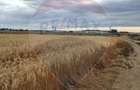 Teren intarvilan de vanzare in zona industriala