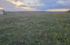 Teren intravilan de vanzare- Sat Strejnicu, Jud. Prahova - 5