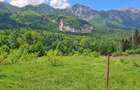 Teren intravilan, 1000 mp, proiect duplex P+E, zona Sinaia - Zamora - 1