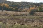 Teren extravilan Rasnov DN73A - zona Valea Merilor