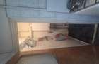 Proprietar Vand apartamnet 3 camere Noua Brasov - 3