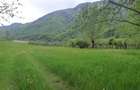 Teren de vanzare in Malaia(Valcea) - 4