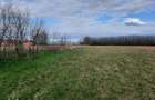 Vand teren intravilan 35 Ari Mediesu Aurit - Satu Mare - 4