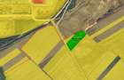 Teren 6.154 mp Sanmartin Rontau 2 km de Centura Oradea acces doua fronturi - 3