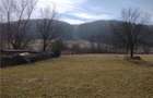 Teren de vanzare loc de casa - 2