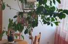 Apartament cu 3 camere decomandate Zona Ultracentrala - Suceava (Suceava) - 5