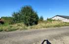Teren intravilan Domnesti - 4