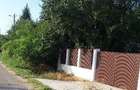 Teren intravilan - Comasca, judetul Giurgiu - 5