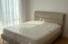 Iancu Nicolae, apartament premium cu gradina privata - 4