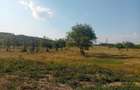 Spațiu comercial, în Filipeștii de Pădure - 2
