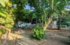 Comision0%-AlmanImobiliare-OazaDeCurte-1100Mp-CasaRenovabila-Mangalia - 3